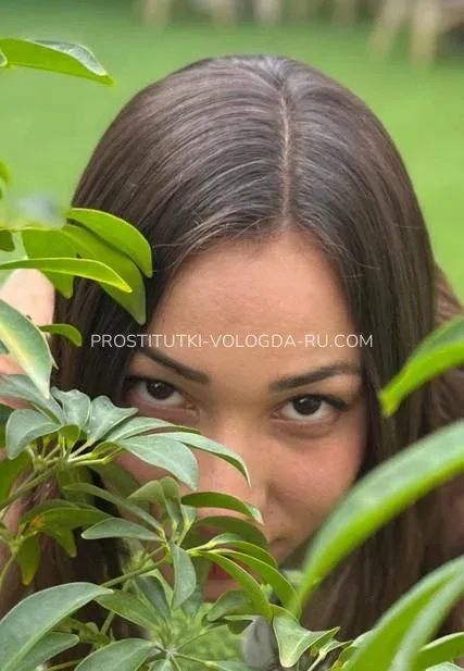 Проститутки Вологда Сандра — 1